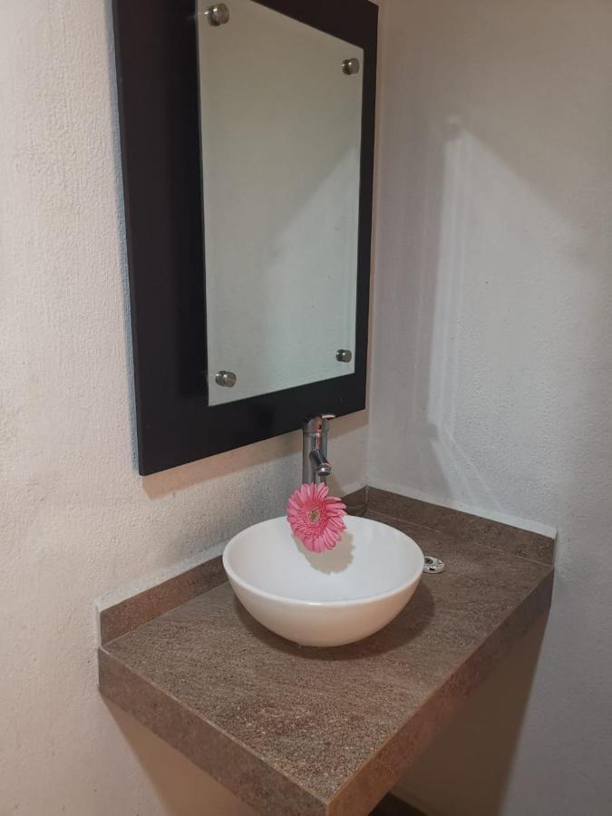 Hotel Jorge Alejandro Guadalajara Dış mekan fotoğraf